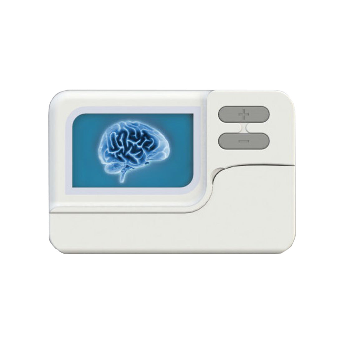Portable electronic device with a screen displaying an image of a brain on a white background